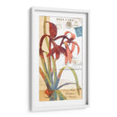 Coronando Gloria Ii - W. Green-Aldridge | Cuadro decorativo de Canvas Lab