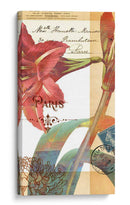 Coronando Gloria Iii - W. Green-Aldridge | Cuadro decorativo de Canvas Lab