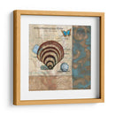 Botticelli Shell Ii - W. Green-Aldridge | Cuadro decorativo de Canvas Lab