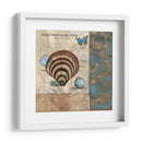 Botticelli Shell Ii - W. Green-Aldridge | Cuadro decorativo de Canvas Lab