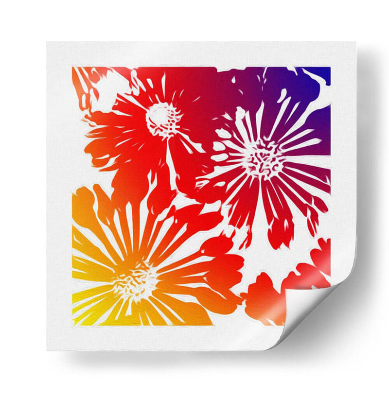 Brights Floral Ii - James Burghardt | Cuadro decorativo de Canvas Lab