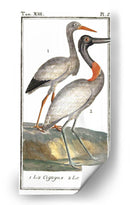 Grúas De Búfón Y Garzas I - Buffon | Cuadro decorativo de Canvas Lab