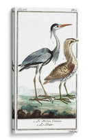 Grúas De Búfón Y Garones Iii - Buffon | Cuadro decorativo de Canvas Lab