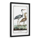 Grúas De Búfón Y Garones Iii - Buffon | Cuadro decorativo de Canvas Lab