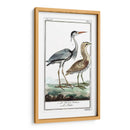 Grúas De Búfón Y Garones Iii - Buffon | Cuadro decorativo de Canvas Lab
