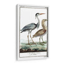 Grúas De Búfón Y Garones Iii - Buffon | Cuadro decorativo de Canvas Lab