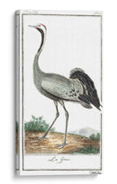 Grúas De Búfón Y Garzas Iv - Buffon | Cuadro decorativo de Canvas Lab