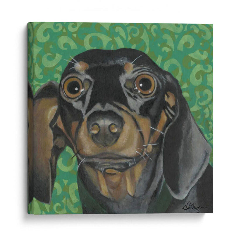 Dogs Dlynns - Keelie - Dlynn Roll | Cuadro decorativo de Canvas Lab