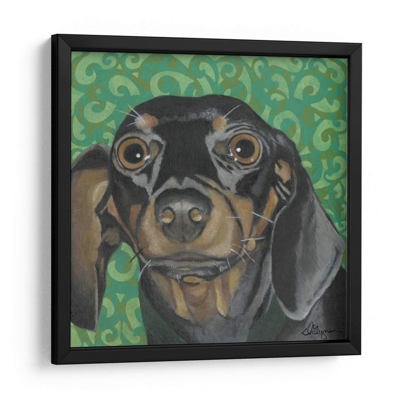 Dogs Dlynns - Keelie - Dlynn Roll | Cuadro decorativo de Canvas Lab