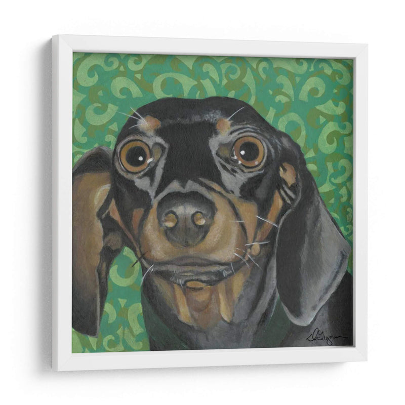 Dogs Dlynns - Keelie - Dlynn Roll | Cuadro decorativo de Canvas Lab