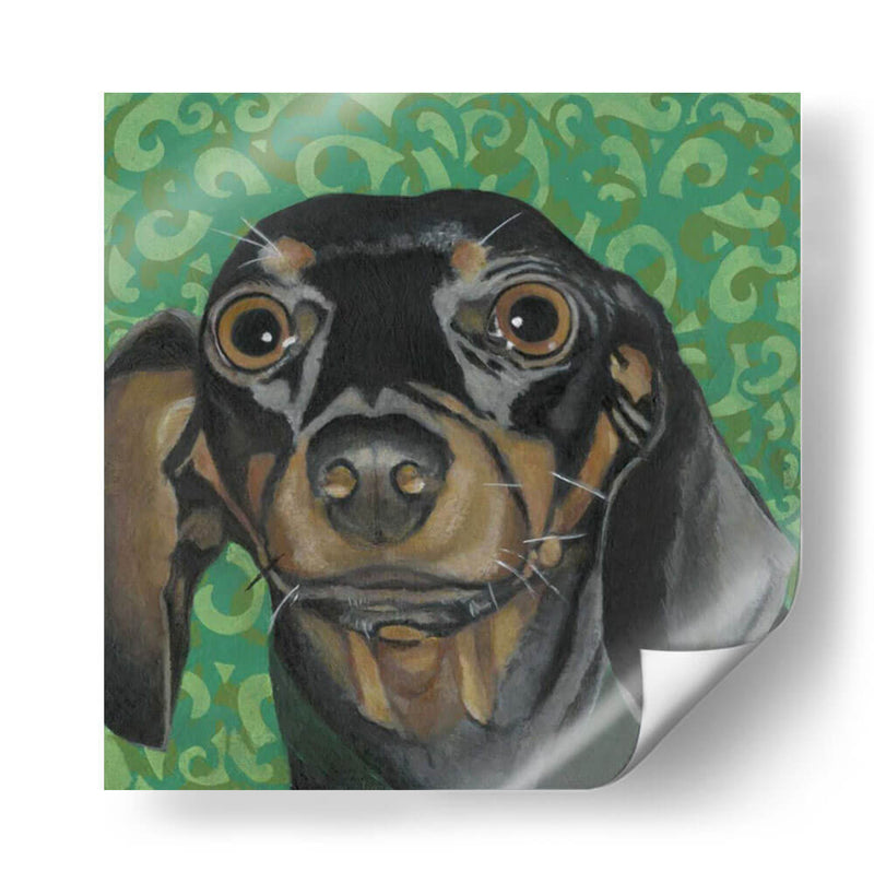 Dogs Dlynns - Keelie - Dlynn Roll | Cuadro decorativo de Canvas Lab