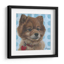 Dogs Dlynns - Jordania - Dlynn Roll | Cuadro decorativo de Canvas Lab