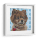 Dogs Dlynns - Jordania - Dlynn Roll | Cuadro decorativo de Canvas Lab