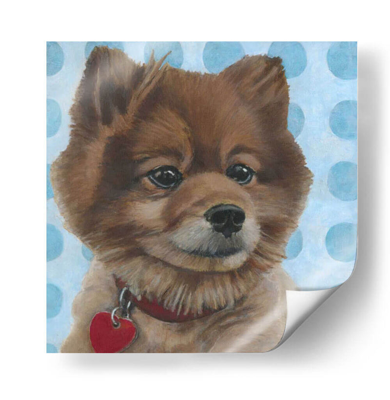 Dogs Dlynns - Jordania - Dlynn Roll | Cuadro decorativo de Canvas Lab