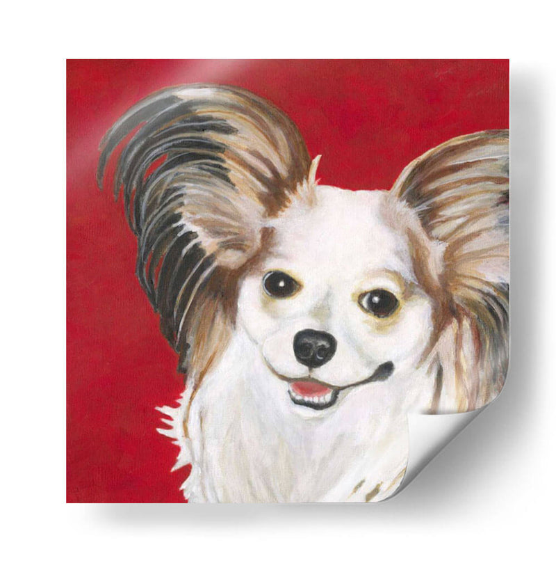 Dogs Drynns - Lilly - Dlynn Roll | Cuadro decorativo de Canvas Lab