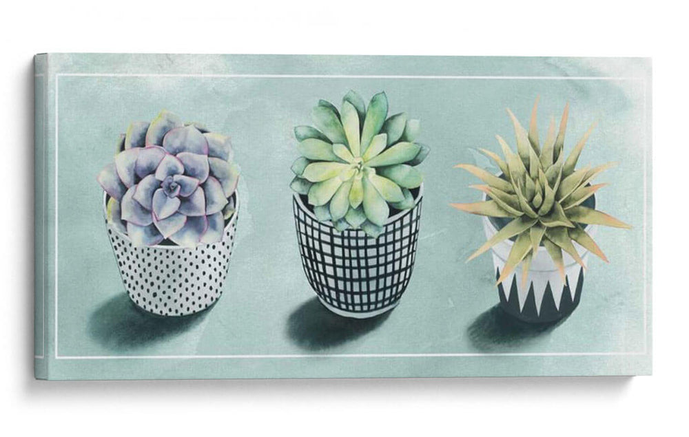 Colección De Amor Suculenta C - Grace Popp | Cuadro decorativo de Canvas Lab