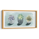 Colección De Amor Suculenta C - Grace Popp | Cuadro decorativo de Canvas Lab