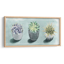 Colección De Amor Suculenta C - Grace Popp | Cuadro decorativo de Canvas Lab