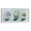 Colección De Amor Suculenta C - Grace Popp | Cuadro decorativo de Canvas Lab