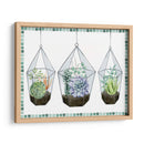 Colección Swatch Suculenta A - Grace Popp | Cuadro decorativo de Canvas Lab