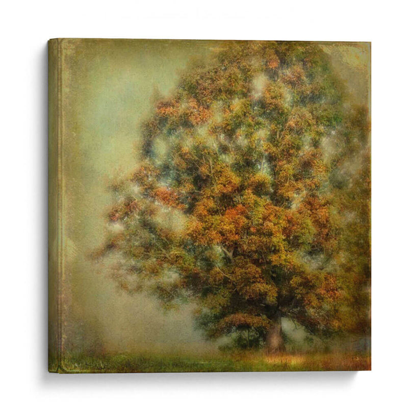 Sueño De Otoño - Danny Head | Cuadro decorativo de Canvas Lab