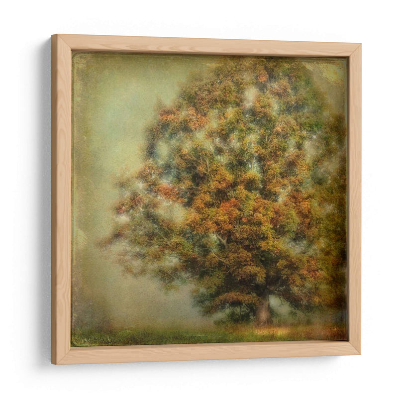 Sueño De Otoño - Danny Head | Cuadro decorativo de Canvas Lab