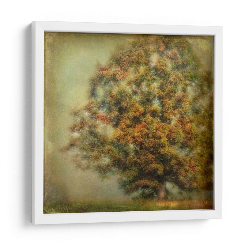 Sueño De Otoño - Danny Head | Cuadro decorativo de Canvas Lab