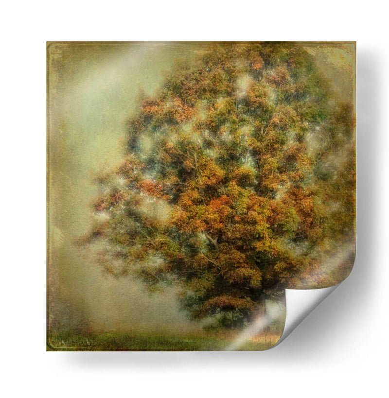 Sueño De Otoño - Danny Head | Cuadro decorativo de Canvas Lab