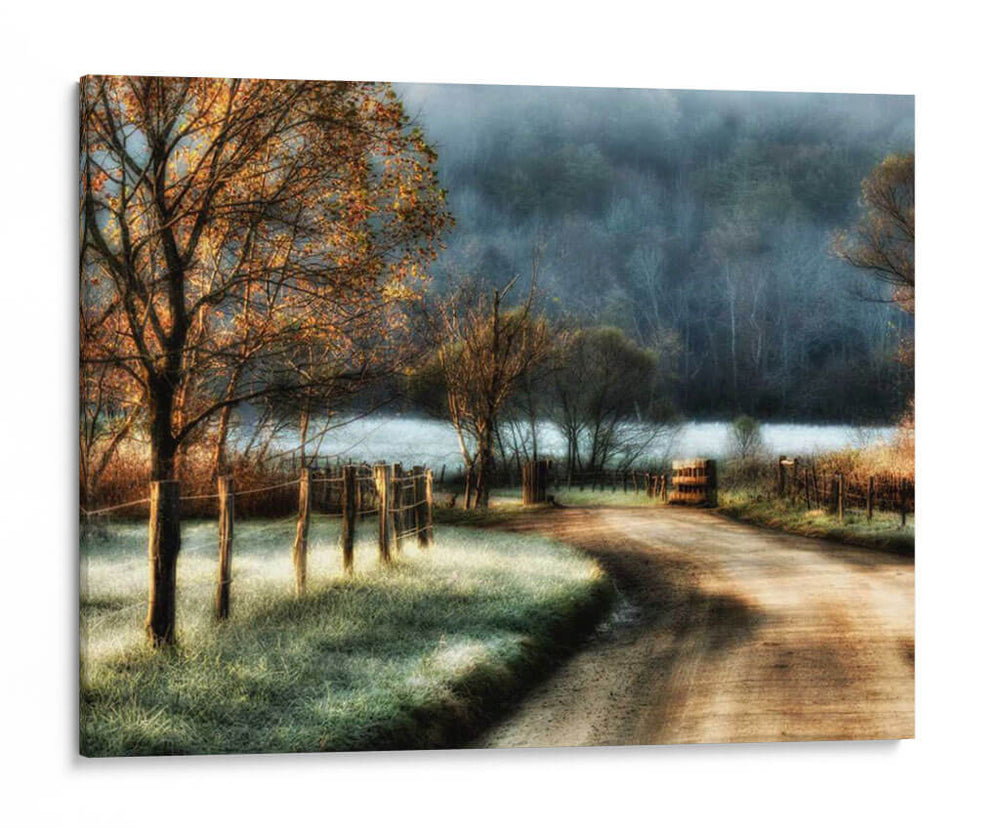 Frost De La Mañana - Danny Head | Cuadro decorativo de Canvas Lab