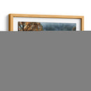 Frost De La Mañana - Danny Head | Cuadro decorativo de Canvas Lab