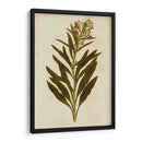 Impresión Botánica I | Cuadro decorativo de Canvas Lab