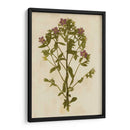 Impresión Botánica Ii | Cuadro decorativo de Canvas Lab