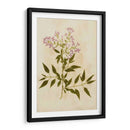 Impresión Botánica Iii | Cuadro decorativo de Canvas Lab