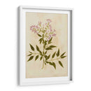 Impresión Botánica Iii | Cuadro decorativo de Canvas Lab