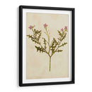 Impresión Botánica Iv | Cuadro decorativo de Canvas Lab