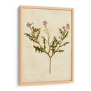 Impresión Botánica Iv | Cuadro decorativo de Canvas Lab