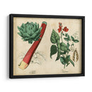 Verduras De Cocina Y Raíces Ii | Cuadro decorativo de Canvas Lab