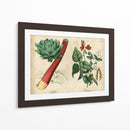 Verduras De Cocina Y Raíces Ii | Cuadro decorativo de Canvas Lab
