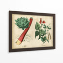 Verduras De Cocina Y Raíces Ii | Cuadro decorativo de Canvas Lab