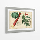 Verduras De Cocina Y Raíces Ii | Cuadro decorativo de Canvas Lab