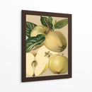 Apple Harvest Ii | Cuadro decorativo de Canvas Lab
