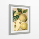Apple Harvest Ii | Cuadro decorativo de Canvas Lab