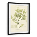 Marina De Bradbury I - Henry Bradbury | Cuadro decorativo de Canvas Lab