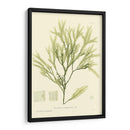 Marina De Bradbury I - Henry Bradbury | Cuadro decorativo de Canvas Lab
