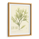 Marina De Bradbury I - Henry Bradbury | Cuadro decorativo de Canvas Lab