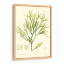 Marina De Bradbury I - Henry Bradbury | Cuadro decorativo de Canvas Lab