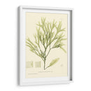 Marina De Bradbury I - Henry Bradbury | Cuadro decorativo de Canvas Lab