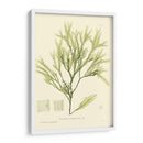 Marina De Bradbury I - Henry Bradbury | Cuadro decorativo de Canvas Lab