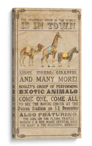 Colección De Circo Vintage B - Grace Popp | Cuadro decorativo de Canvas Lab