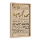 Colección De Circo Vintage B - Grace Popp | Cuadro decorativo de Canvas Lab